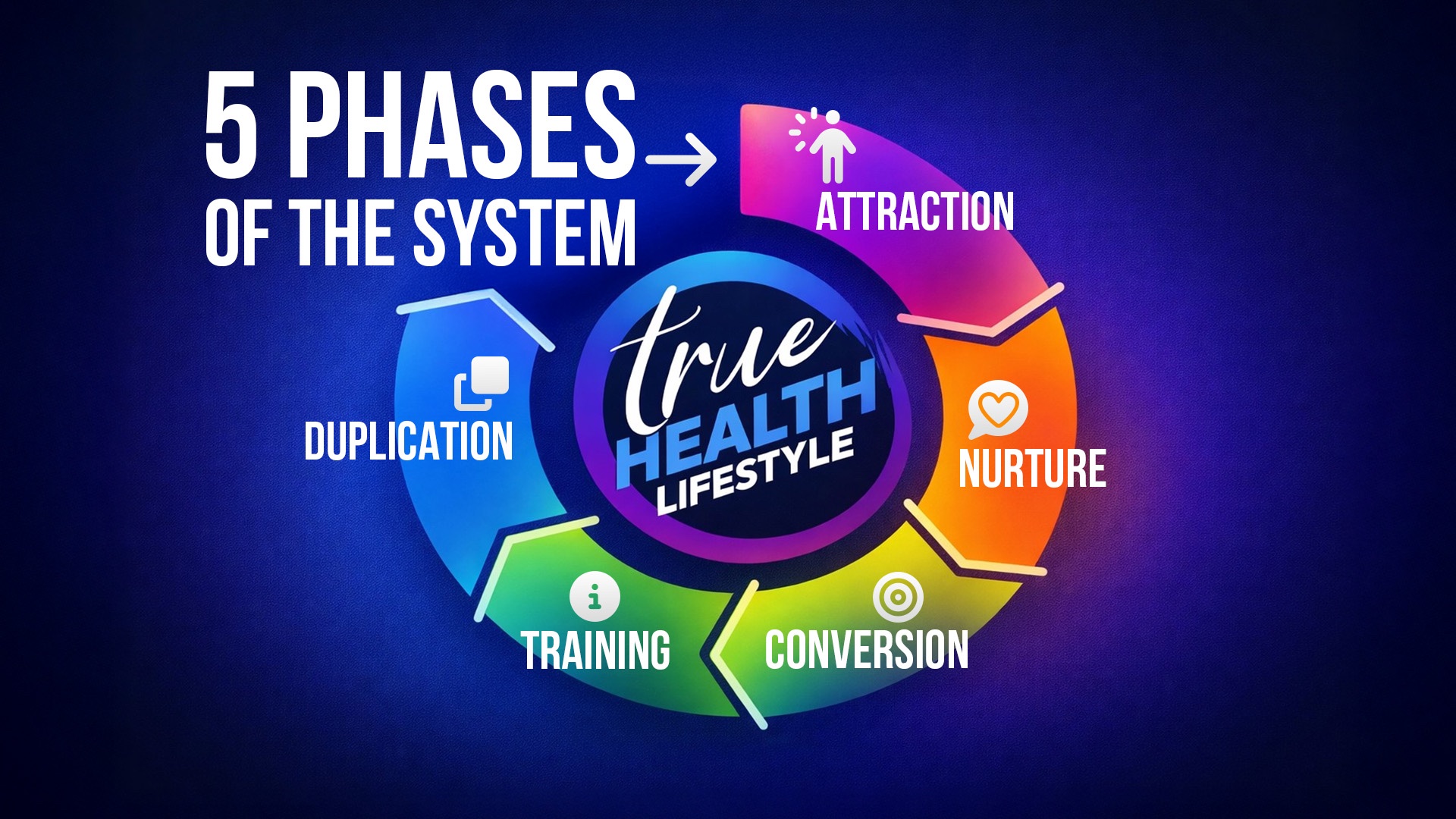 5 Phases of the THL System